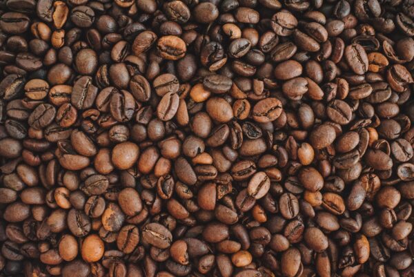 Ethiopian Geta Bore Cooperative | Subscription | 12 Oz. - Image 3
